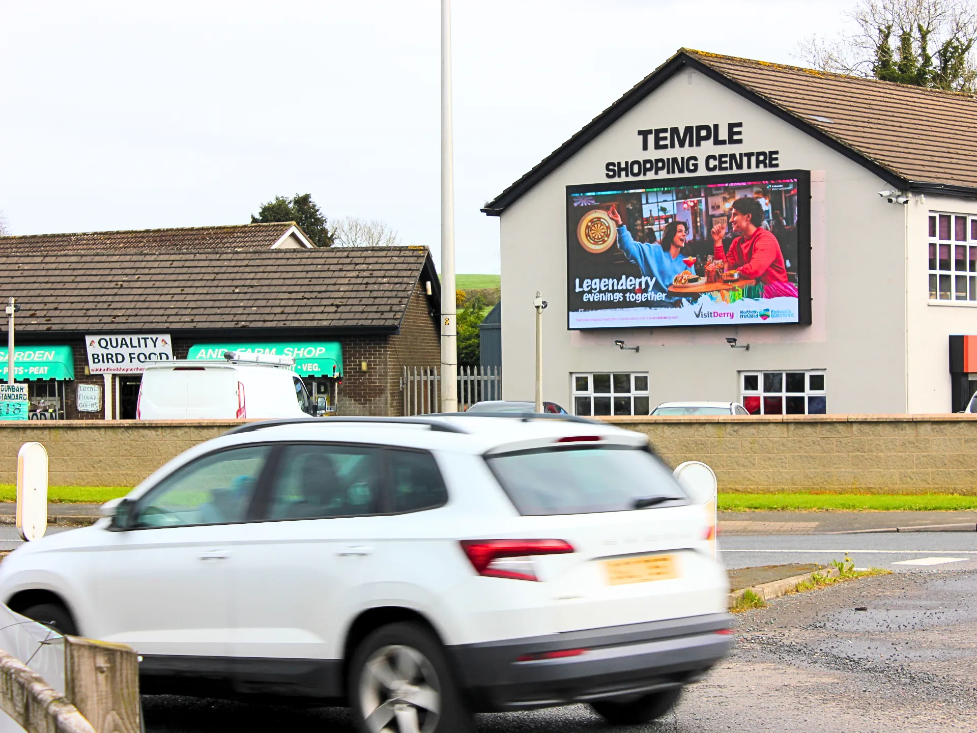 temple digital 4